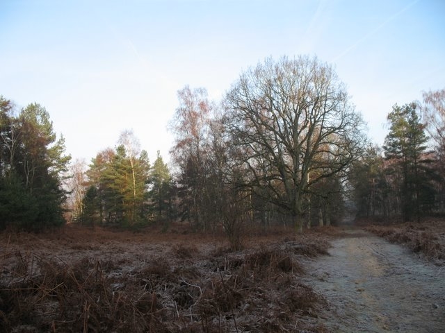 2007 02 Sortie traces 25